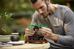 Bonsai boom Lego 10281
