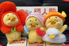 Upset Duck