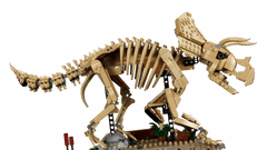 Dinosaur Fossils: Triceratops LEGO 77985