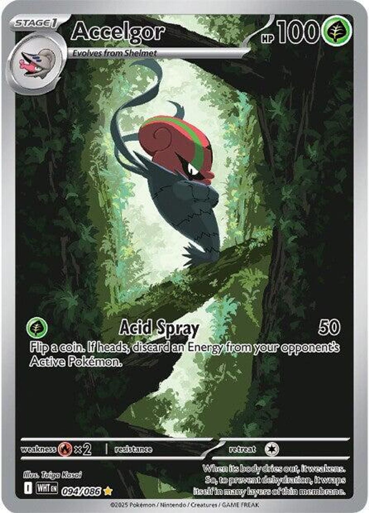 Accelgor - 094/086