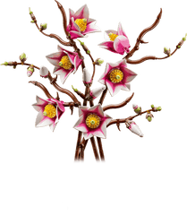 Magnolia Branches LEGO 11510